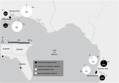 Microplastics in Florida, United States: A Case Study of Quantification and Characterization With Intertidal Snails